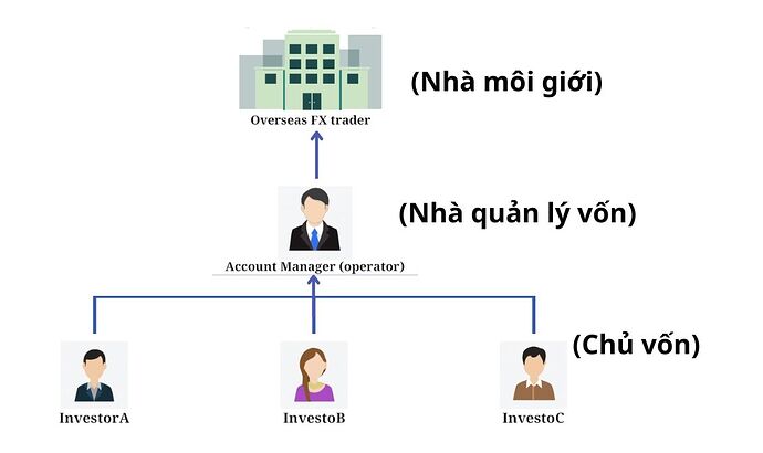 pamm_la_gi_2_0481791d4c