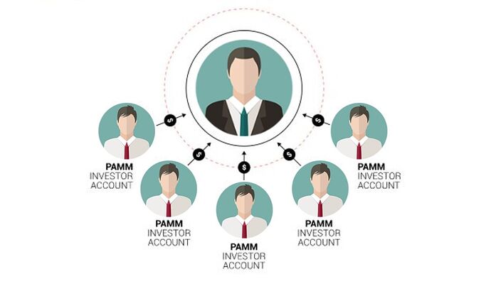 pamm_la_gi_1_069aa46e1d